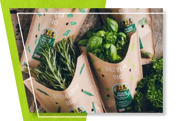 content-opakowania-na-ziola-doniczkowe